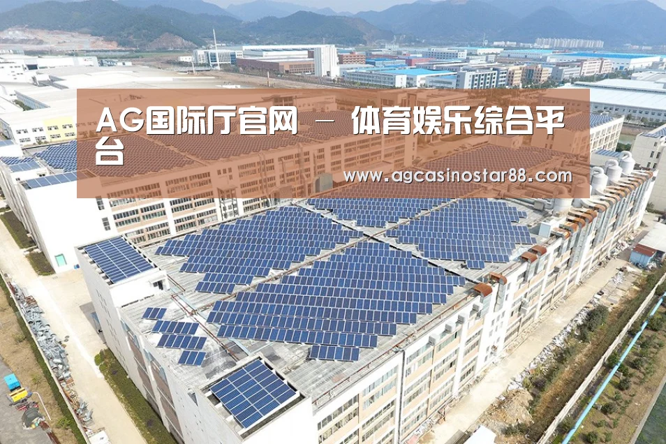 案例展示四