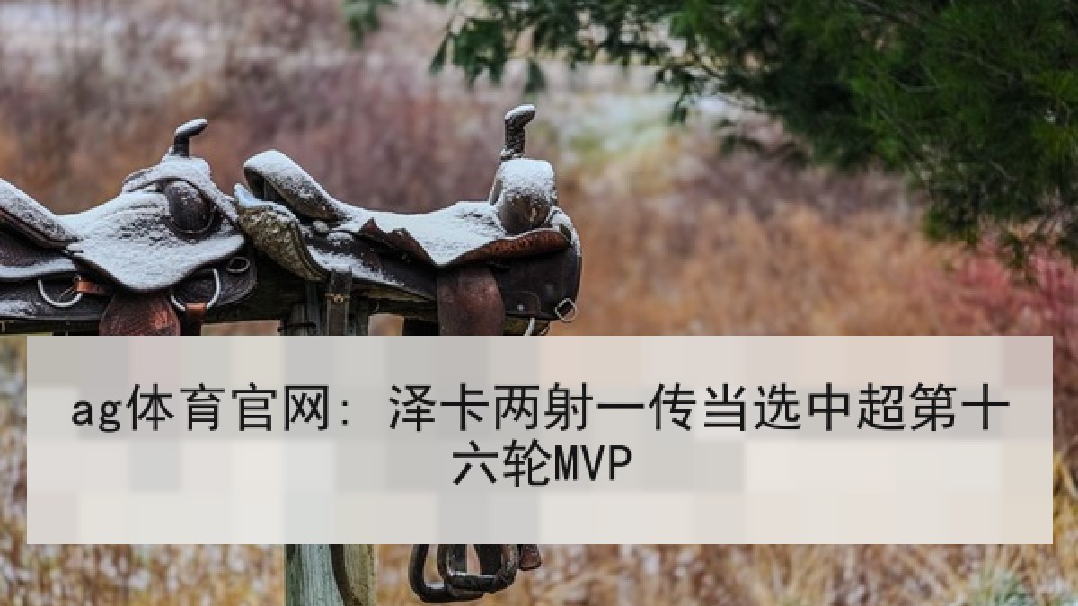 ag体育官网: 泽卡两射一传当选中超第十六轮MVP ag体育官网: 泽卡两射一传当选中超第十六轮MVP