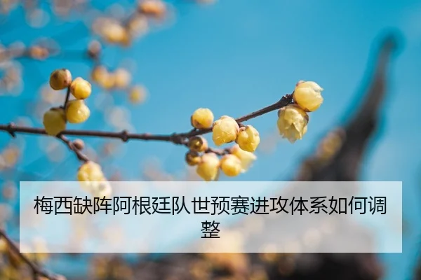 mei-xi-que-zhen-a-gen-ting-dui-shi-yu-sai-jin-gong-ti-xi-ru-he-tiao-zheng-3-278.jpg