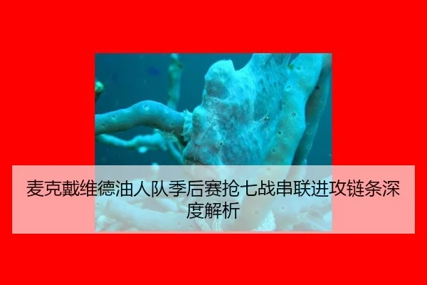 麦克戴维德油人队季后赛抢七战串联进攻链条深度解析