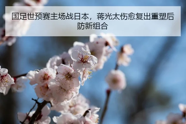 guo-zu-shi-yu-sai-zhu-chang-zhan-ri-ben-jiang-guang-tai-shang-yu-fu-chu-zhong-su-hou-fang-xin-zu-he-3-621.jpg