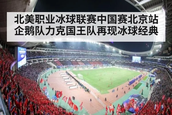北美职业冰球联赛中国赛北京站企鹅队力克国王队再现冰球经典